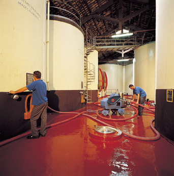 cleanliness is just one of our passions.